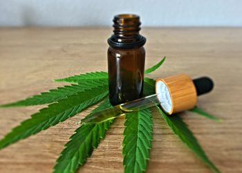 5 Signs: What Makes a Good CBD Oil