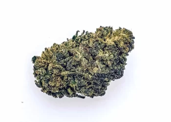 10 Reasons Why Delta 8 Flower is Right for You