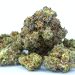 What is Shake Weed? | Is It Good?