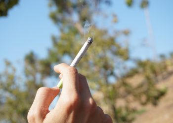 What’s the Hype With Pre-Rolls?