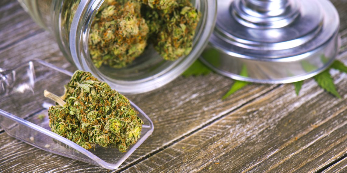 How to Get a Dispensary Licence?