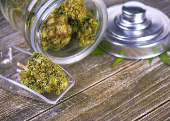 How to Get a Dispensary Licence?