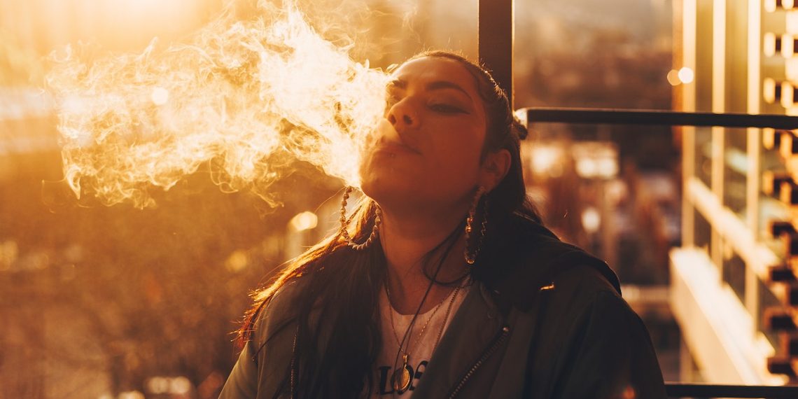 Check Out the Animal Pipes Featured Among Glass Smoking Accessories