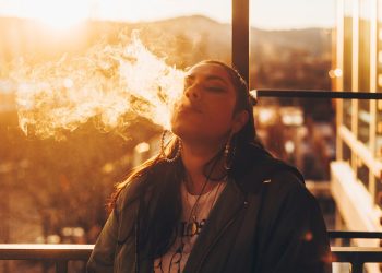 Check Out the Animal Pipes Featured Among Glass Smoking Accessories