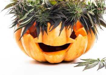 Top Four Cannabis Strains Suited for Halloween