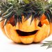 Top Four Cannabis Strains Suited for Halloween