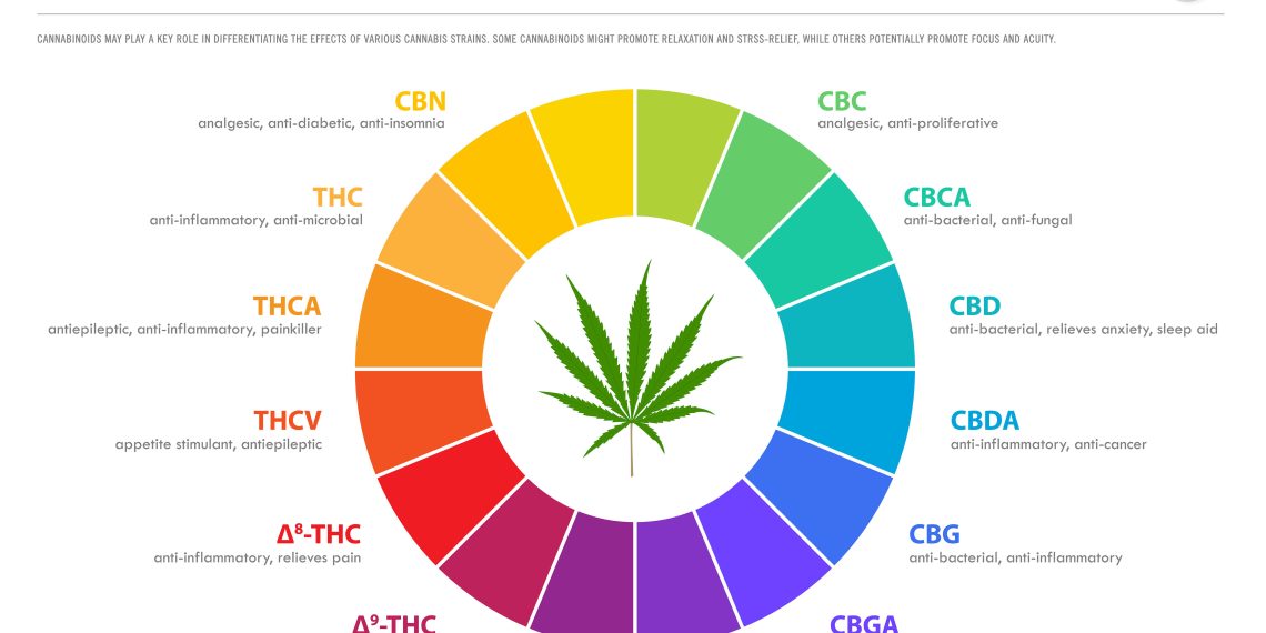 3 Lesser-Known Cannabinoids Worth Trying Out