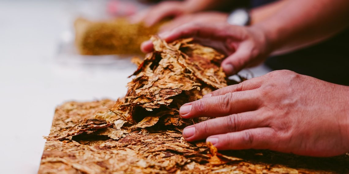 Siberia Snus – Ice Cold Freshness Meets Cult Character
