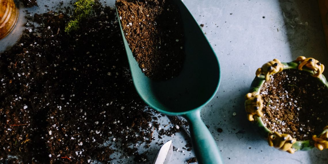 9 Top Gardening Tips for Beginners
