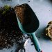 9 Top Gardening Tips for Beginners