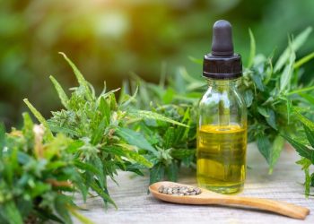 The Benefits of CBD Oil on the Skin