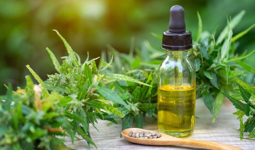 The Benefits of CBD Oil on the Skin