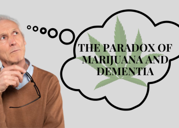 The Paradox of Marijuana and Dementia