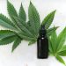 High Times in the Capital: Navigating the D.C. Cannabis Market