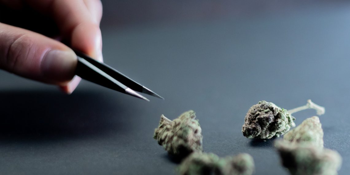 From Reggie to Riches: Uncovering the Hidden Gems of Affordable Weed