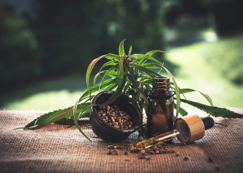 Exploring Recreational Cannabis: Your First Visit to a Legal Dispensary