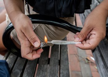 Weed Strains Every Newbie Stoner Should Know About