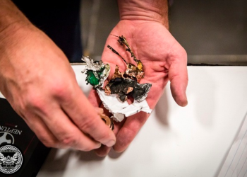 Why Do Vapes Explode, And How to Prevent It