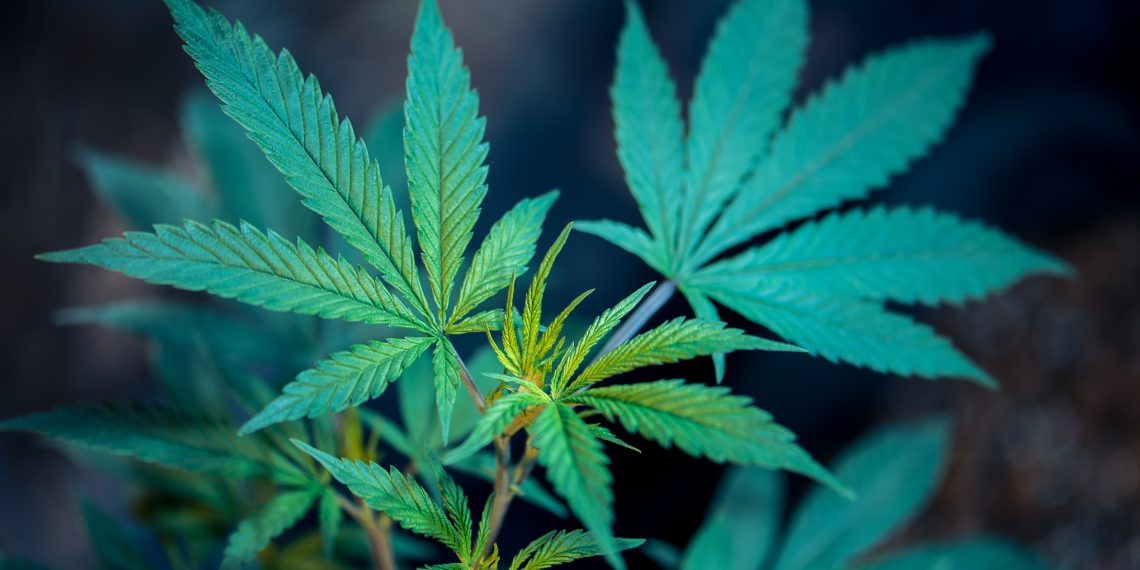 Legal State of Cannabinoids in Sweden