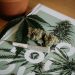 Are You Storing Your Cannabis Correctly? How and Why to Protect Your Bud