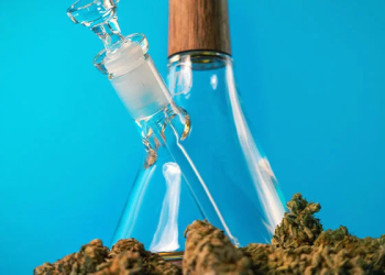 How to Pick the Perfect Bong Material