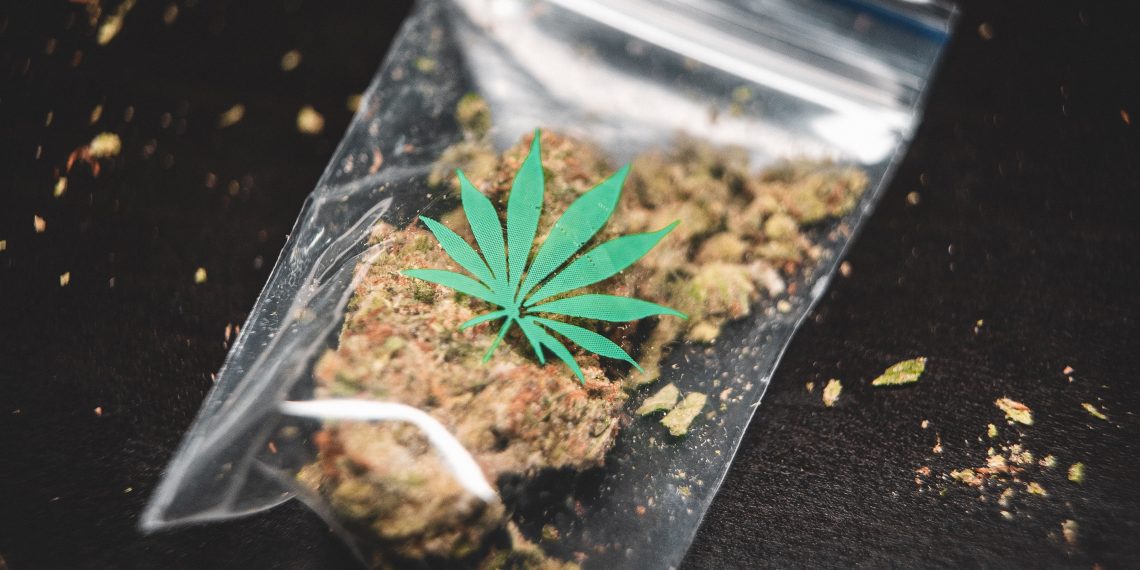 Weed Dispensary Culture: Exploring the Art, Music, and Fashion Inspired by Cannabis