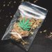 Weed Dispensary Culture: Exploring the Art, Music, and Fashion Inspired by Cannabis