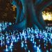 Magic Mushrooms and Mental Health: Potential Benefits and Risks
